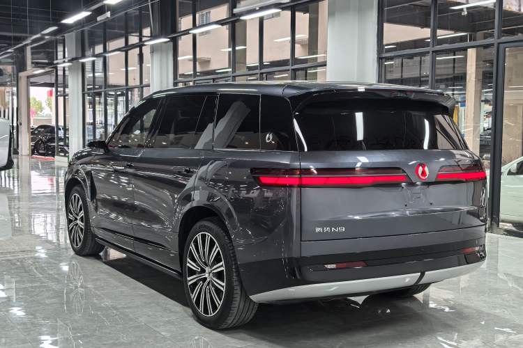 Used Denza N9 2025 Flagship Model