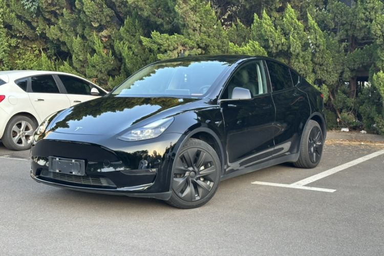 Used Tesla Model Y 2021 Standard Range Rear-Wheel Drive Version