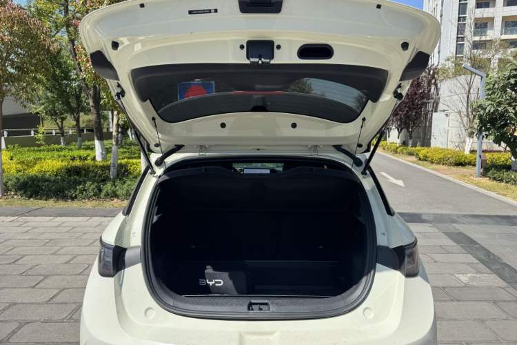 Used BYD Dolphin 2025 Intelligent Driving Version 410 km Fashion Edition
