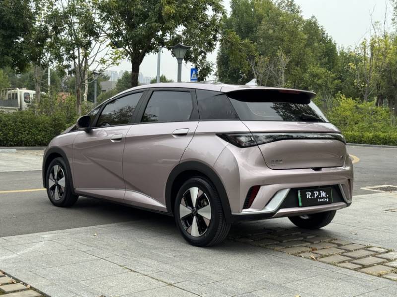 Used BYD Dolphin 2023 420 km Free Version — 12