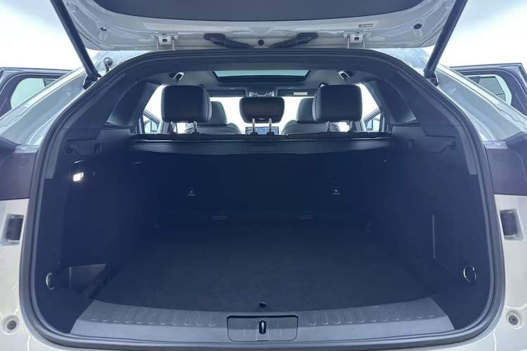 Used Wey Mocha 2021 2.0T Two-Wheel-Drive Premium Edition