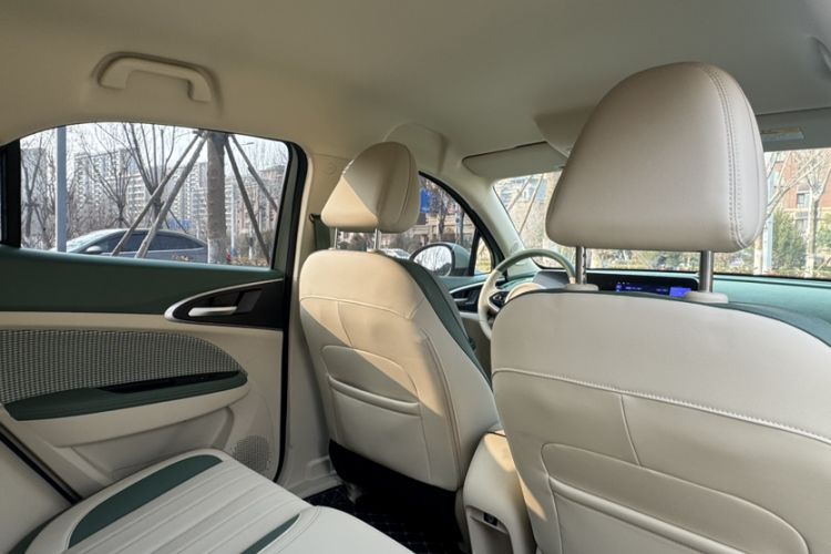 Used ORA Good Cat 2023 401 km Standard Range Luxury Version Lithium Iron Phosphate