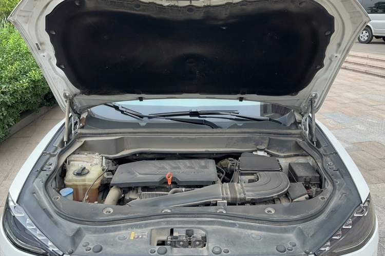 Used Haval F7 2021 1.5T Two-Wheel Drive i-Type