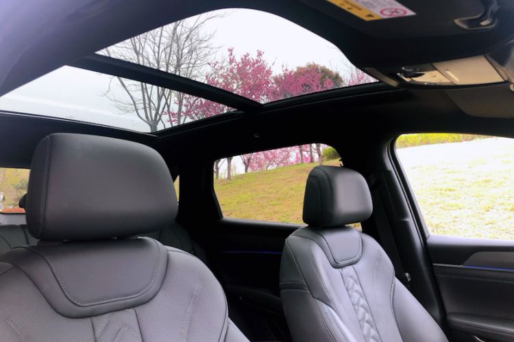 Used BYD Song L DM-i 2025 Intelligent Driving Version 160 km Beyond-Range Type Headliner