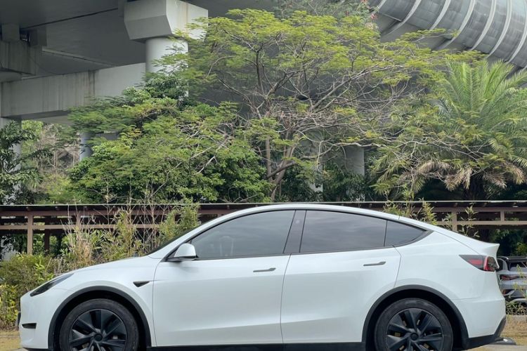 Used Tesla Model Y 2024 Rear-Wheel-Drive Version