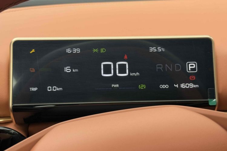 Used NETA X 2024 500 First Edition
