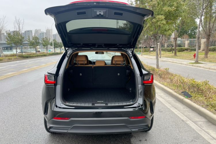 Used Lexus NX 2022 260 Front-Wheel Drive Chuan Yue Edition