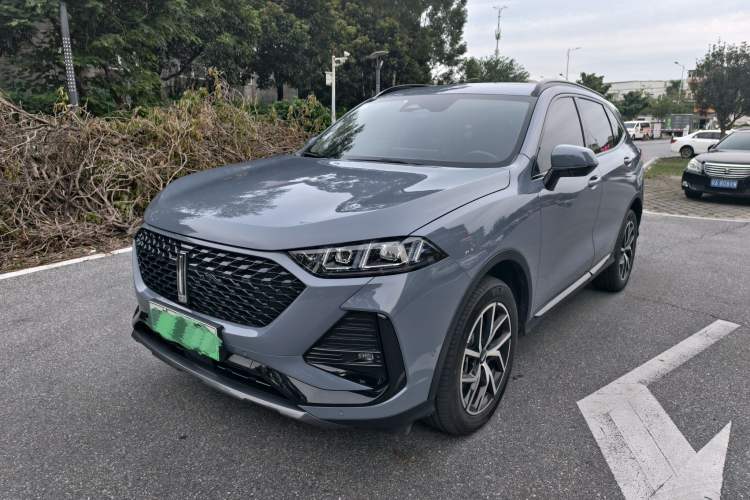 Used Wey Latte DHT-PHEV 2022 1.5T Two-Wheel-Drive Extra-Large Version
