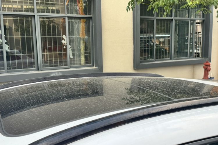 Used Porsche Macan 2017 Macan 2.0T Roof