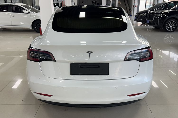Used Tesla Model 3 (Import) 2019 Standard Range Rear-Wheel Drive Upgraded Version (52 kWh)