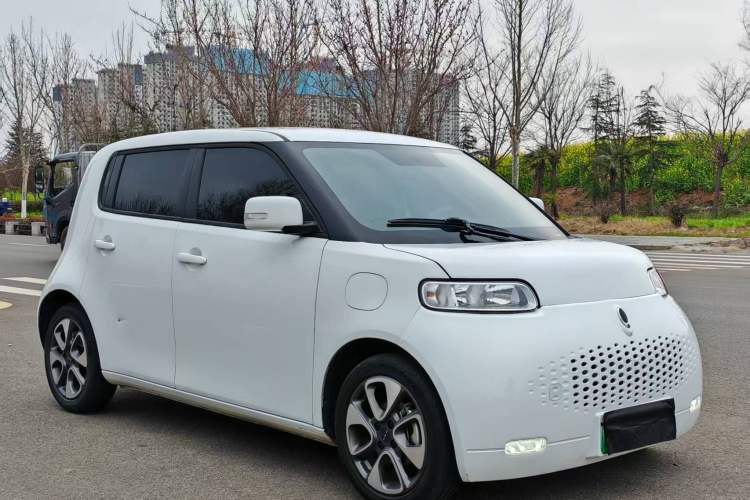 Used ORA White Cat 2020 305 km Luxury Version Exterior 6