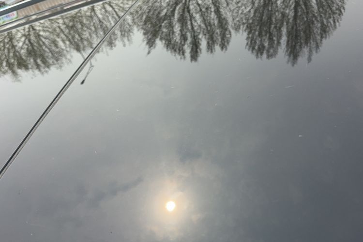 Used Mercedes-Benz V-Class 2020 V 260 Prestige Edition Roof