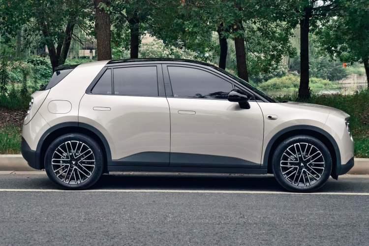 Used firefly firefly 2025 Illuminated Edition