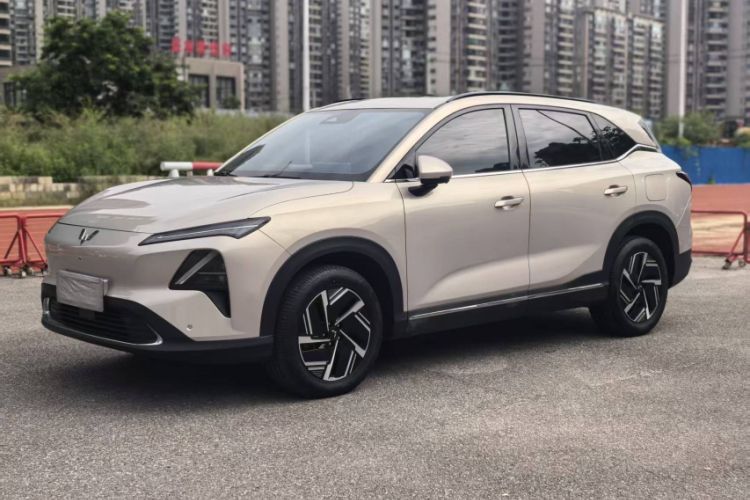 Used Wuling Xingguang S 2024 130 km Flagship Version