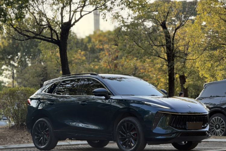 Used FORTHING T5 EVO 2021 1.5TD DCT Starry Edition