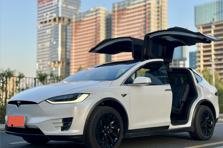 Used Tesla Model X 2019 Long-Range Version
