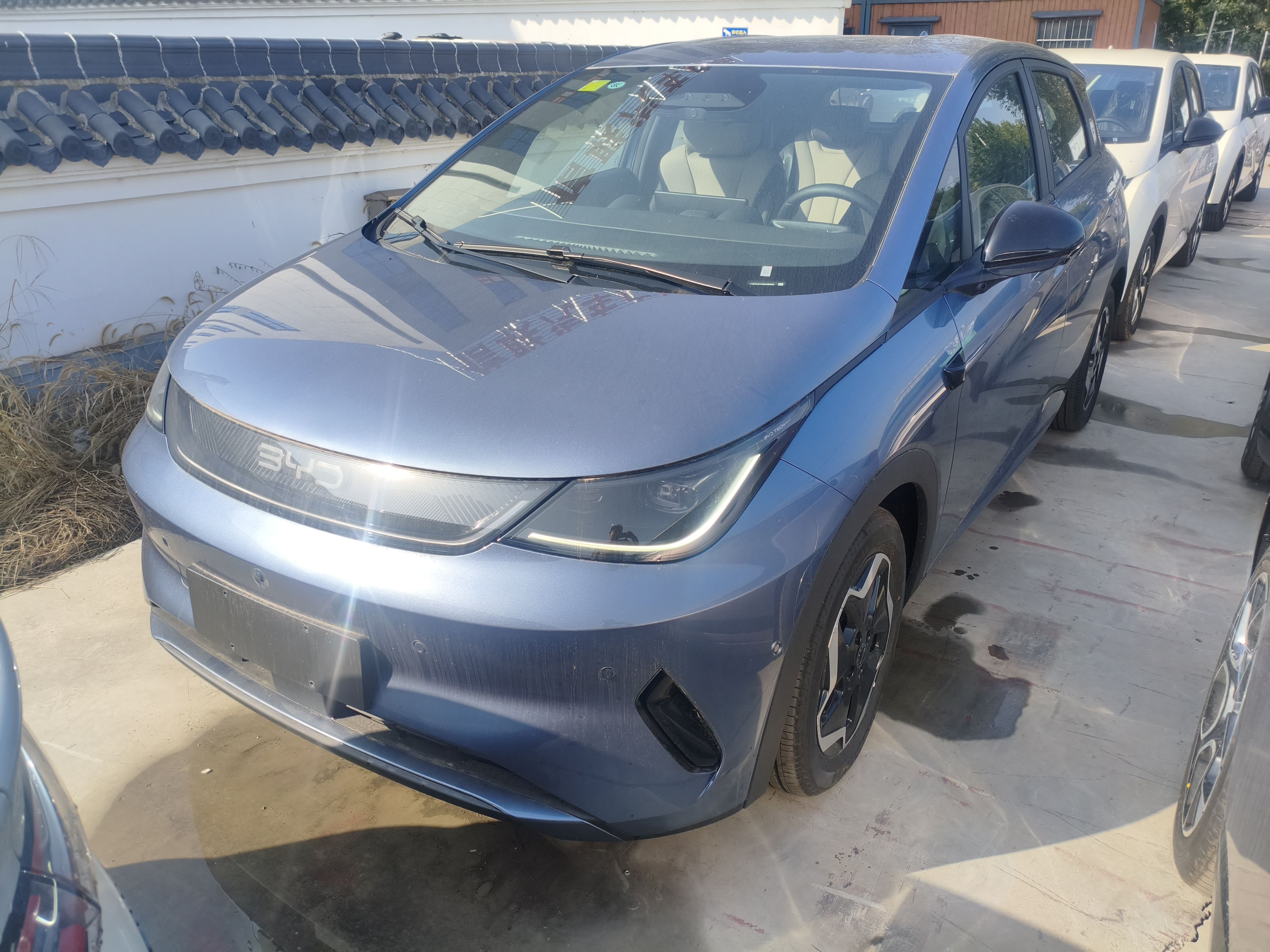 BYD Dolphin 2025 Smart Drive Version 420 km Freedom Edition — снимка 16