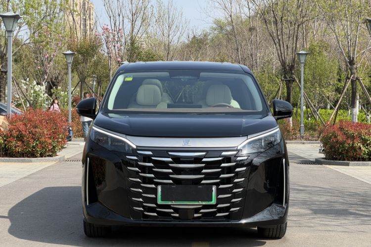 Used BYD Xia 2025 DM-i 1.5T 100km Leading Model Exterior 4