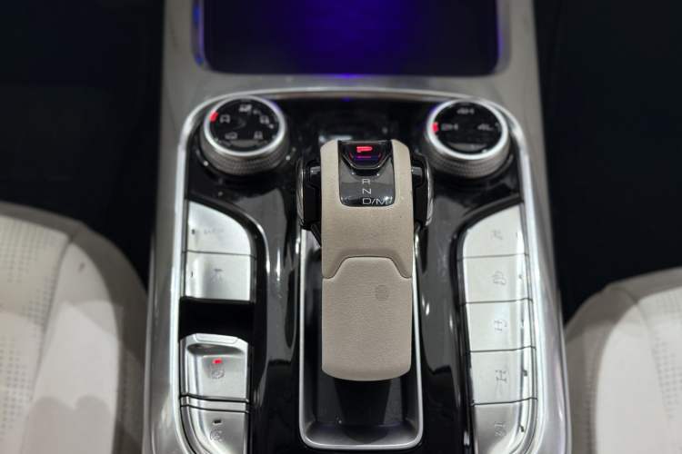 Used Cyberspace Tank 300 2021 2.0T Cyber Tank
