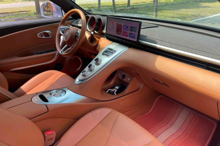 Used ORA Lightning Cat 2022 555 km Luxury Edition