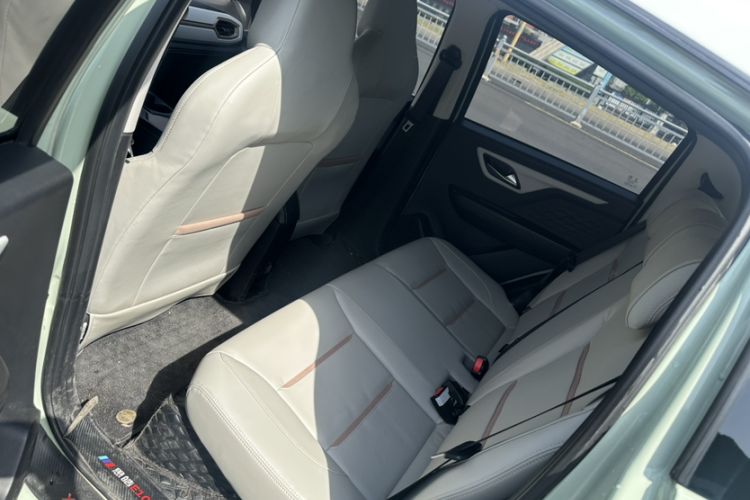 Used SOL E10X 2022 Flower Fairy Style Baby's Breath