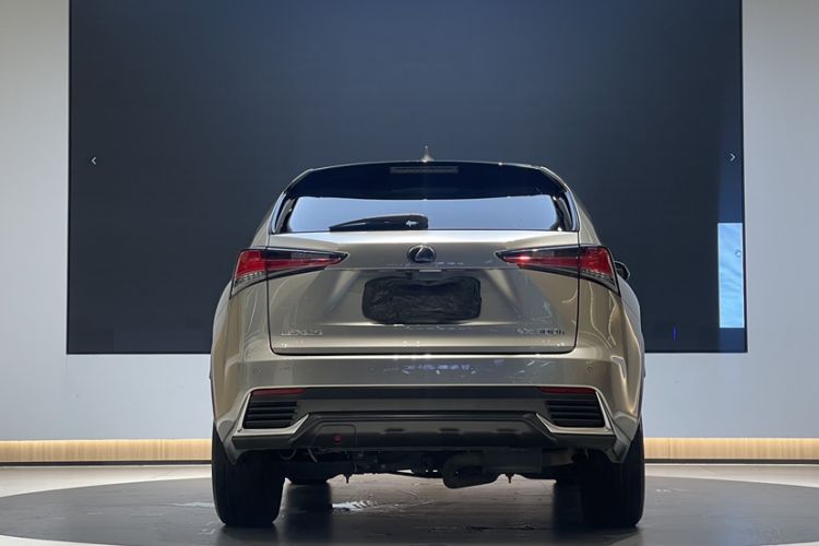 Used Lexus NX 2020 300h All-Wheel Drive FENGZHI Version China VI Standard Exterior 12