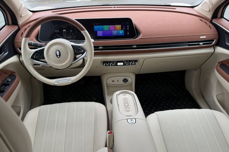 Used ORA Good Cat 2023 401 km Standard Range Luxury Version Lithium Iron Phosphate