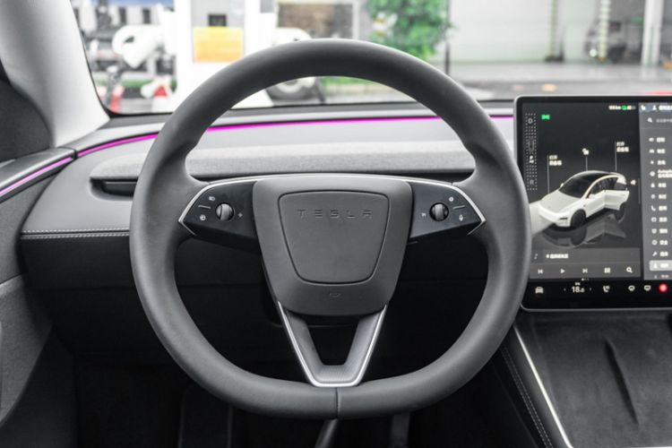 Used Tesla Model Y 2025 Long-Range All-Wheel-Drive Version
