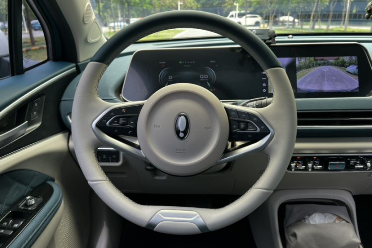 Used ORA Good Cat 2021 400km Standard Range Venus Edition Lithium-Ion Battery
