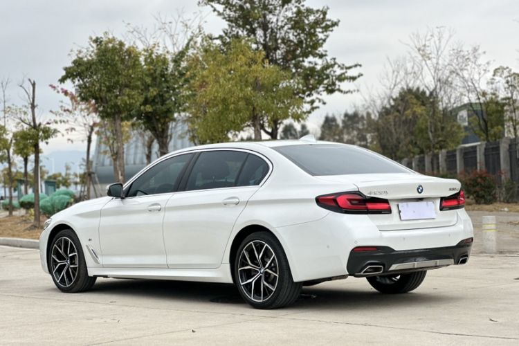 Used BMW 5 Series 2023 530Li Luxury Edition M Sport Package Exterior 12