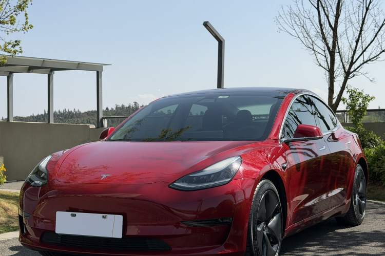 Used Tesla Model 3 2019 Long-Range All-Wheel-Drive Version