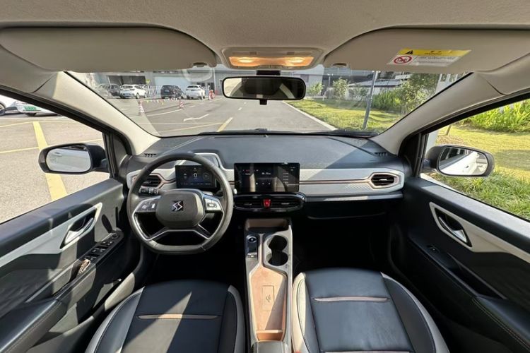 Used SOL E10X 2022 Flower Fairy Design Four-Leaf Clover