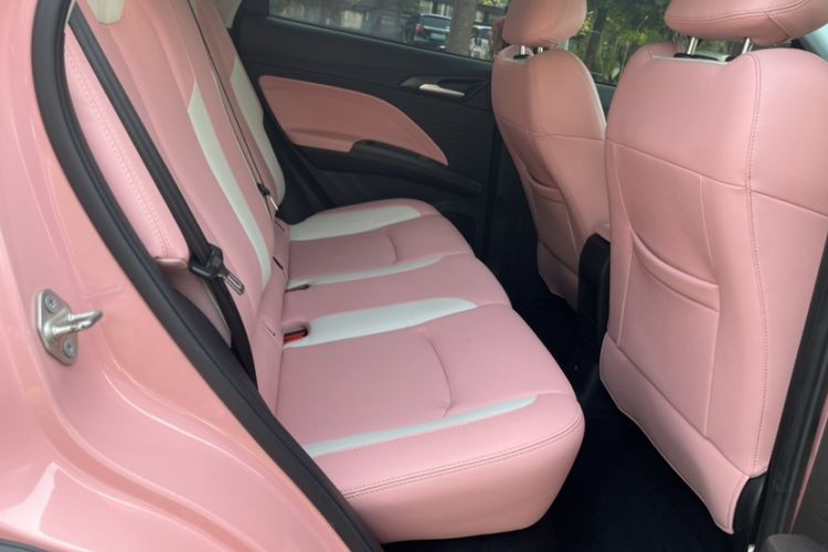 Used NETA V 2021 Witch Edition
