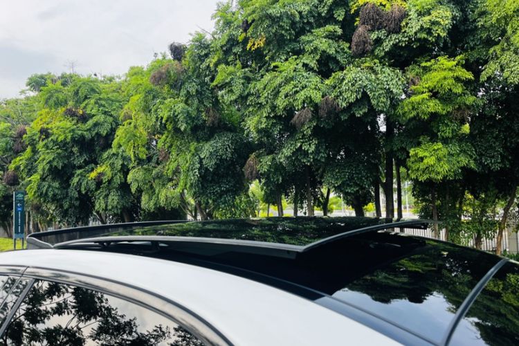 Used Mercedes-Benz C-Class 2021 C 260 L Sport Edition Star Collection
