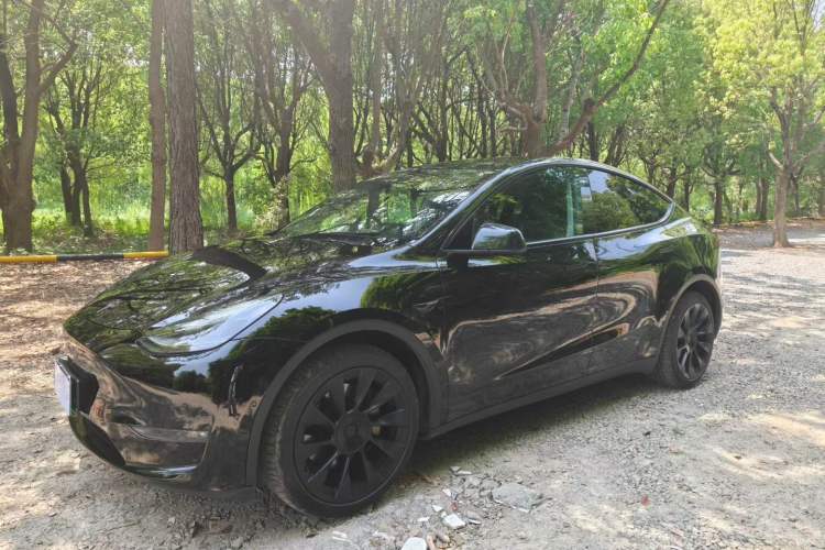 Used Tesla Model Y 2022 Long-Range All-Wheel-Drive Version