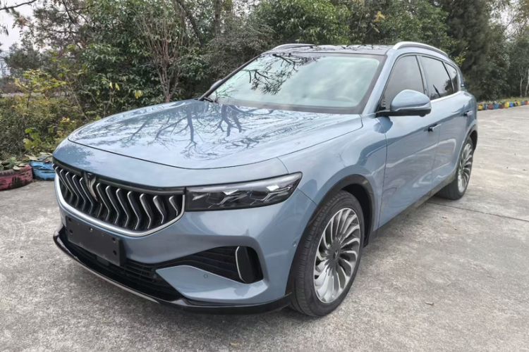 Used VOYAH FREE 2021 Four-Wheel Drive Standard Range-Extended Exclusive Luxury Package