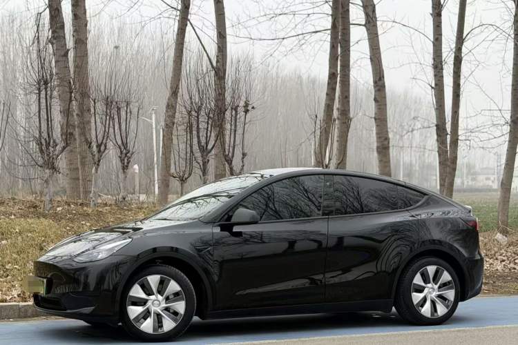 Used Tesla Model Y 2022 Rear-Wheel-Drive Version