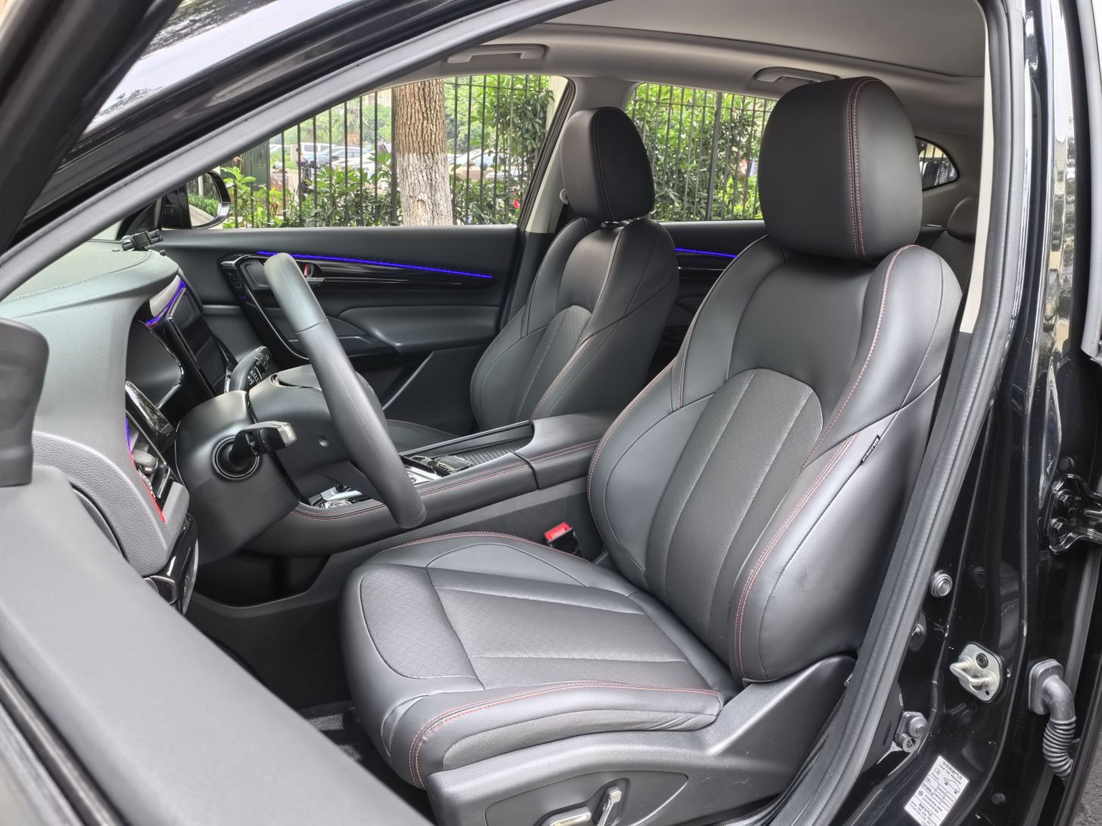 Interior delantero