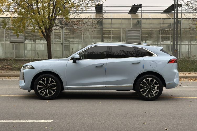 Used Wey Mocha 2021 2.0T Two-Wheel-Drive Premium Edition
