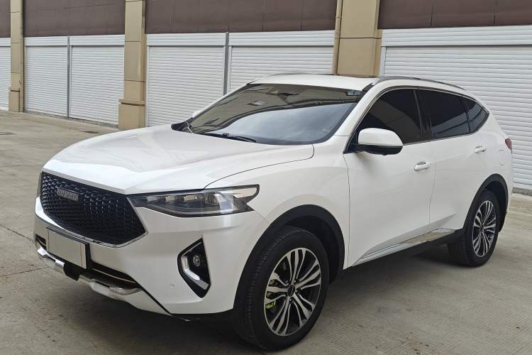 Used Haval F7 2019 2.0T Four-Wheel Drive iJoy China V Standard