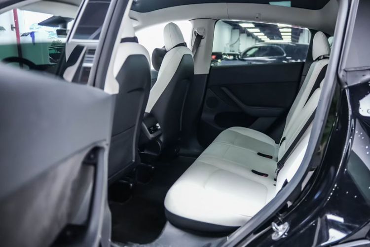 Used Tesla Model Y 2021 Standard Range Rear-Wheel Drive Version Exterior 6