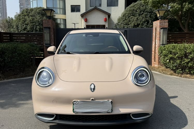 Used ORA Good Cat 2022 Morandi Edition 400km Standard Range Two-Week Young Enjoyment Version Lithium Iron Phosphate
