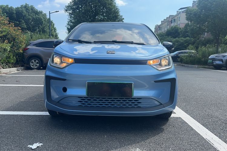 Used SOL E10X 2022 Flower Fairy Design Four-Leaf Clover