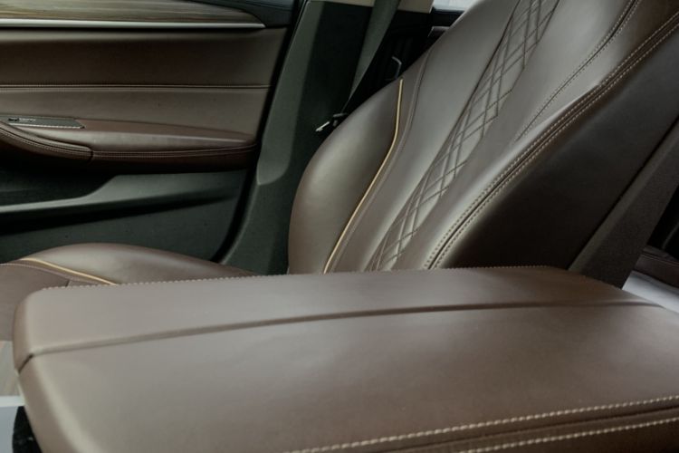 Used BMW 5 Series New Energy 2019 530Le Luxury Package Interior 6