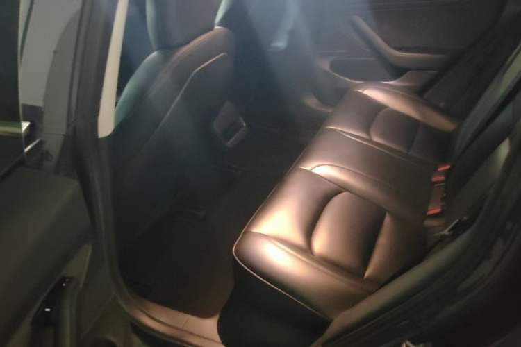 Used Tesla Model 3 2020 Revised Version Standard Range Rear-Wheel Drive – Upgraded Edition
