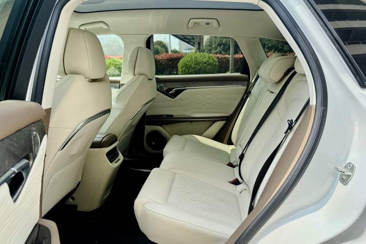 Used VOYAH FREE 2021 Four-Wheel Drive Standard All-Electric Exclusive Luxury Package