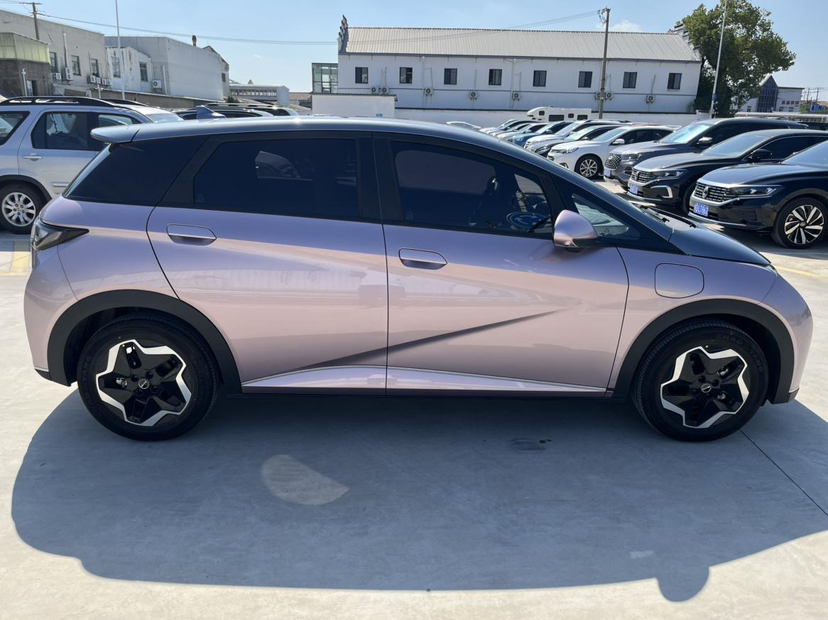 BYD Dolphin 2021 405 km Fashion Edition — снимка 12