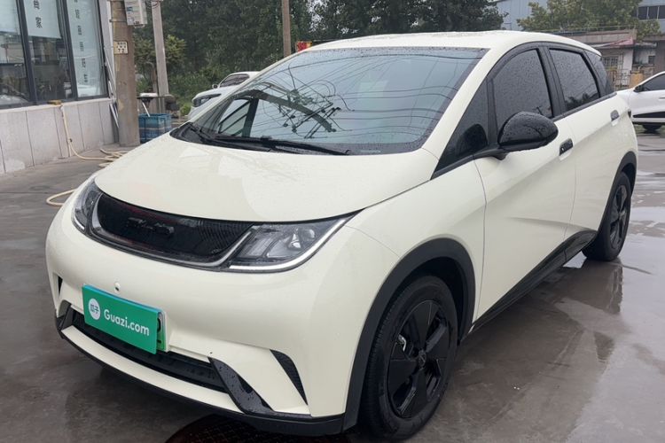 Used BYD Dolphin 2023 420 km Fashion Edition