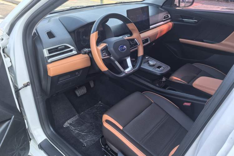 Used BYD e2 2021 Luxury Model
