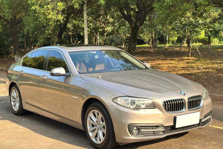Used BMW 5 Series 2014 520Li Elegant Model
